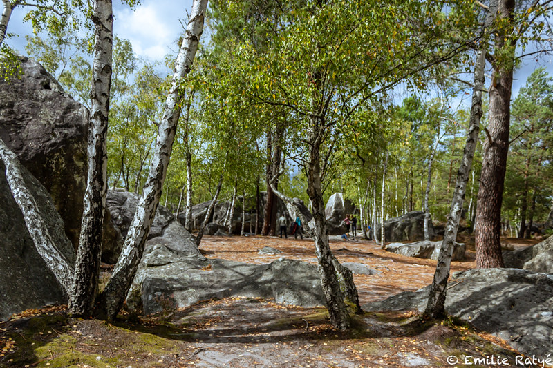 machapuchare yoga escalade forêt de fontainebleau