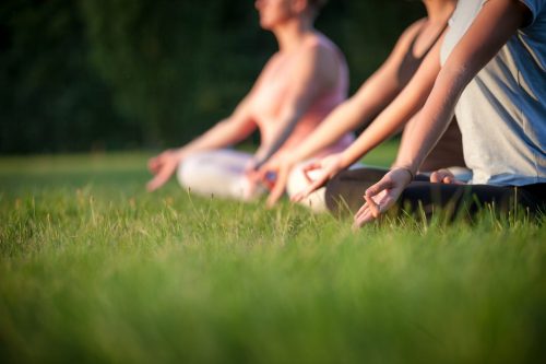Yoga in the park, group of people practicing yoga and meditating while sunset Yoga in the park, group of people practicing yoga and meditating while sunset